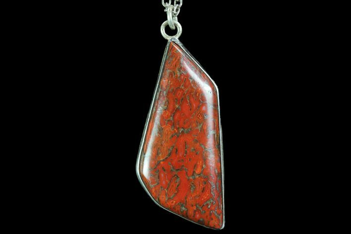 Polished Fossil Dinosaur Bone (Gembone) Necklace/Pendant #86116